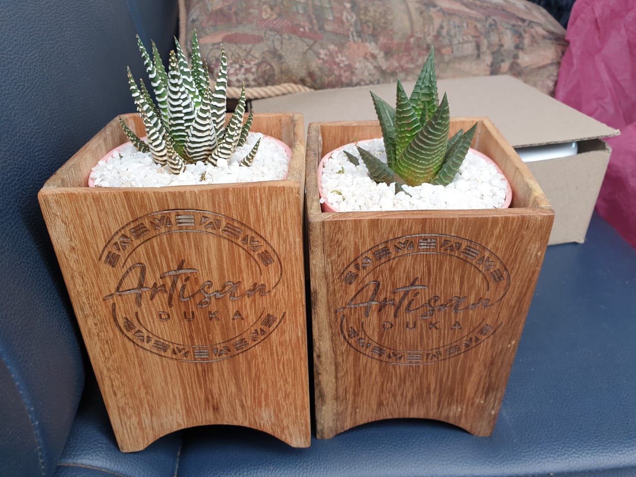 Branded Wooden Planter with Succulent, wooden planters, affordable planters, planters