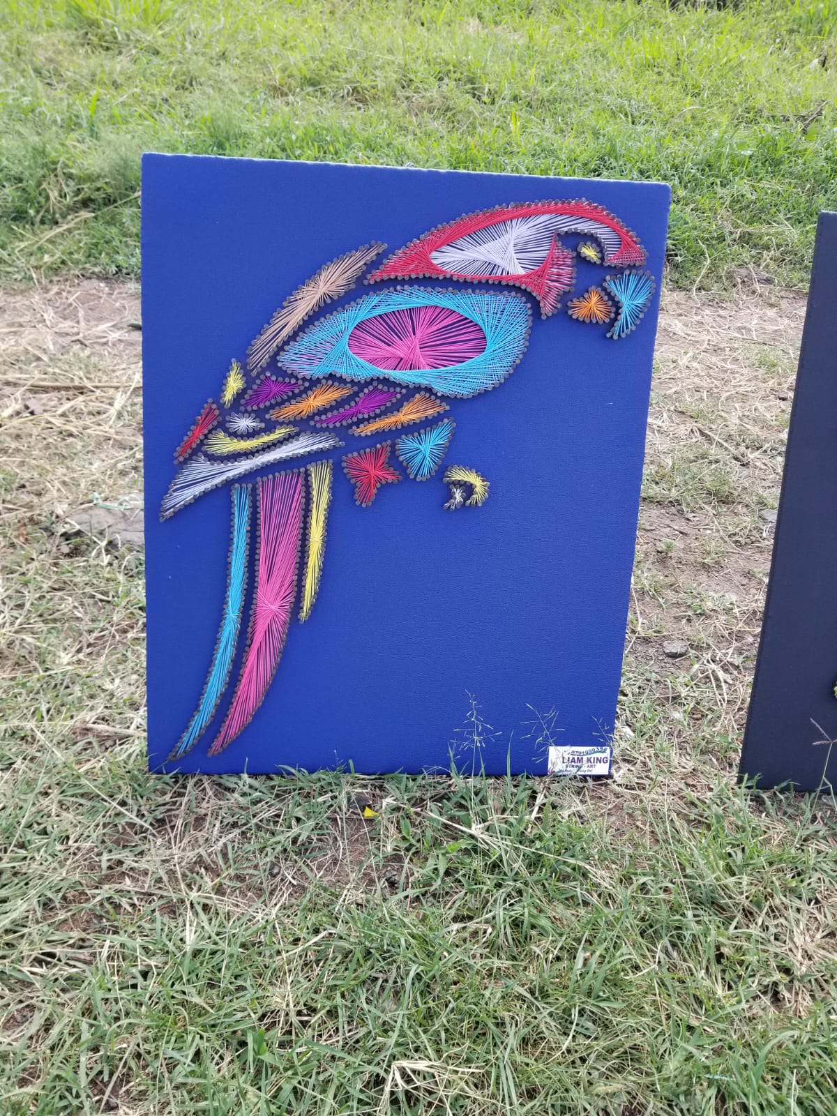 Bird String Art